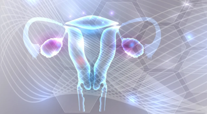 Интимная пластика — уверенность в себе со скидкой 15 %